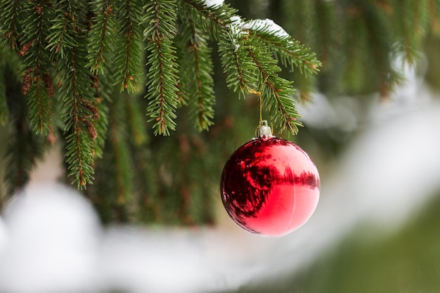 winter holidays and decoration concept - red christmas ball on fir tree branch covered with snow