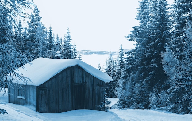 冬の小屋