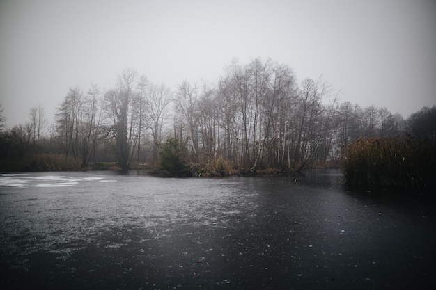 Winter ice