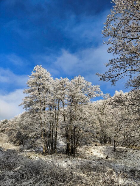 Winter im westerwald