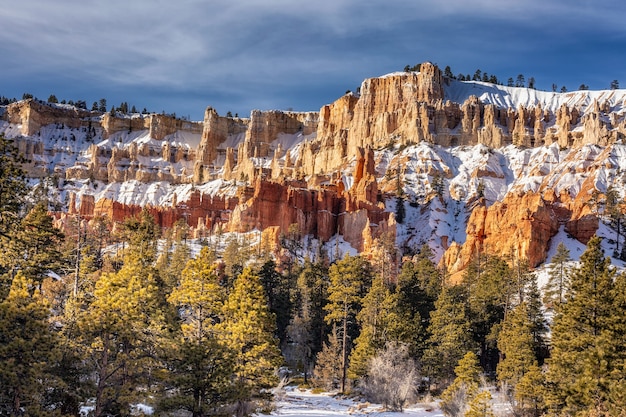 Winter in Bryce Canyon National Park, Utah, Verenigde Staten