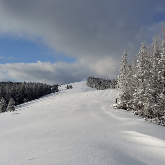 Foto winter in de bergen van de karpaten