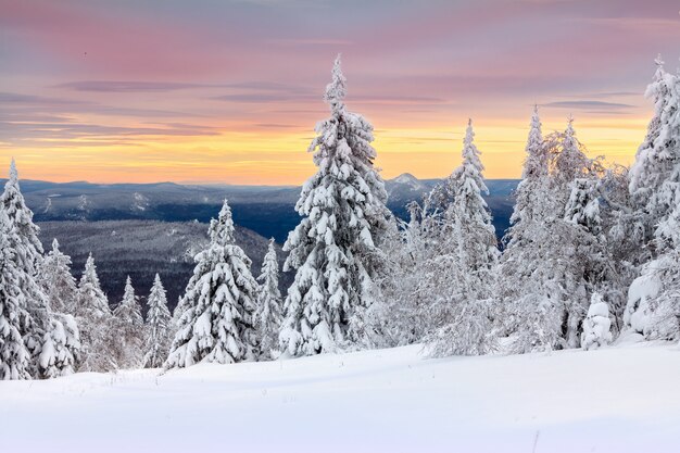 Winter in de bergen