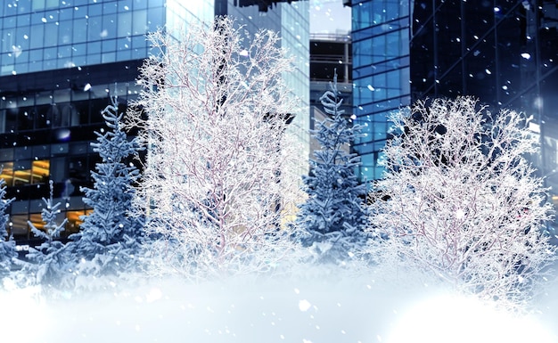 winter in de stad, besneeuwde bomen bedekt met sneeuw, moderne gebouwen, stedelijke seizoenslevensstijl