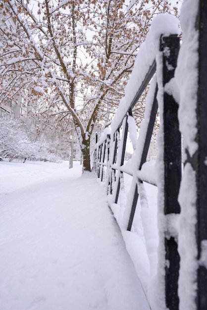 Winter in de stad en sneeuwval