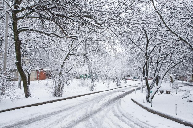 Winter in het stadspark