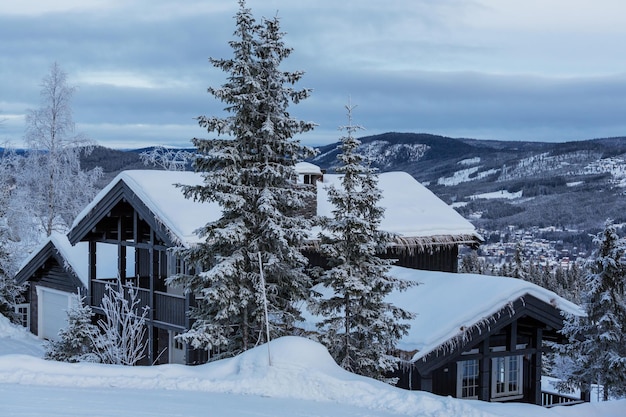 写真 ノルウェーの冬