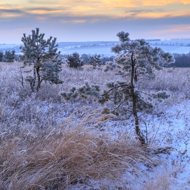 Foto winter in sneeuw in rusland.