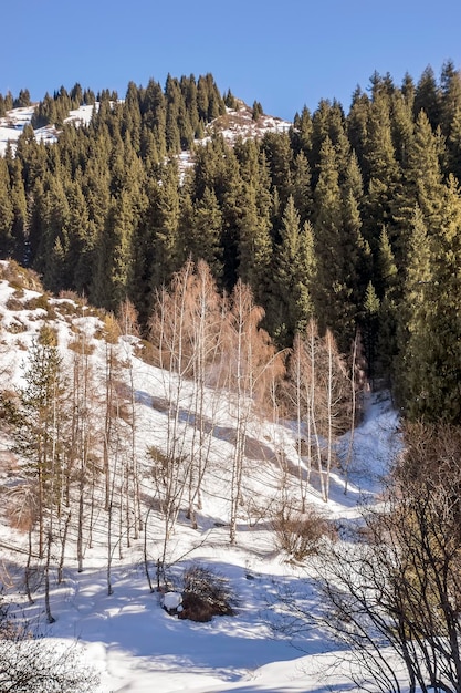 Winter in Tien Shan-gebergte