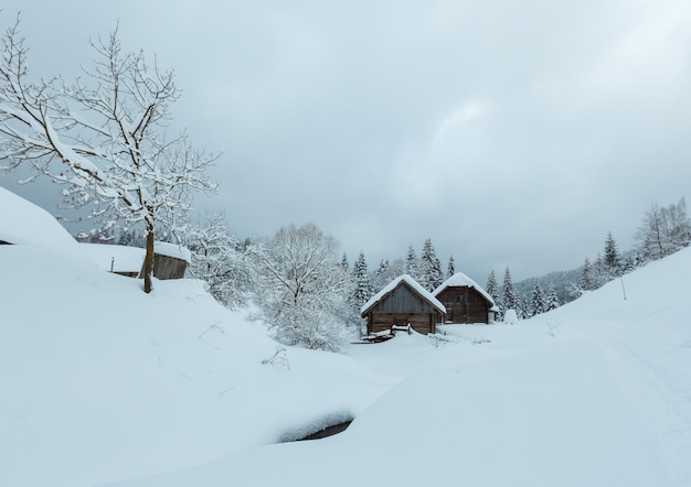 Winter Karpaten dorp