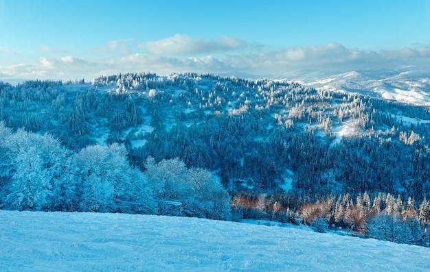 Winter Karpaten landschap Oekraïne