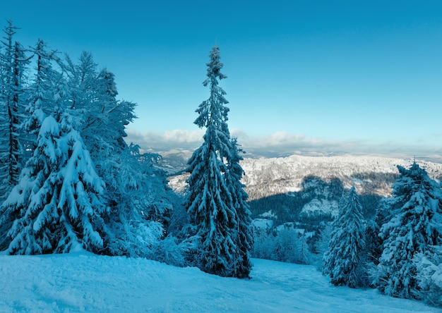 Winter Karpaten landschap Oekraïne