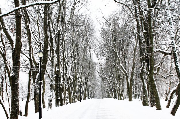 Winter Kerstmis en Nieuwjaar Rustig besneeuwd stadssteegje Winterlandschap