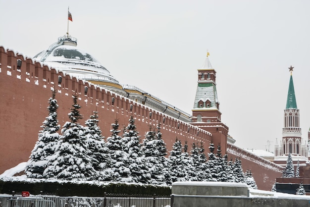 Winter Kremlin van Moskou