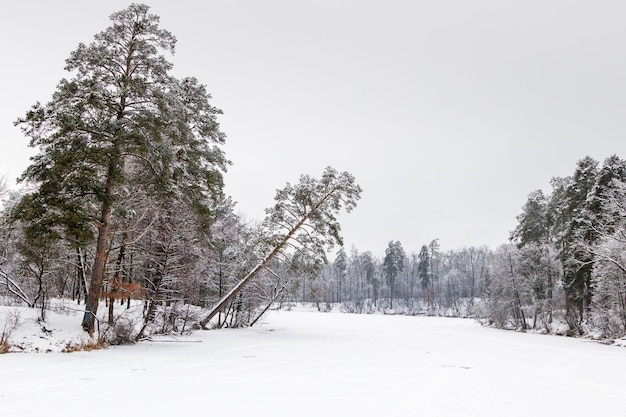 Winter lake covered with ice and snow