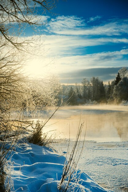 Winter lake at dawn with icy mist