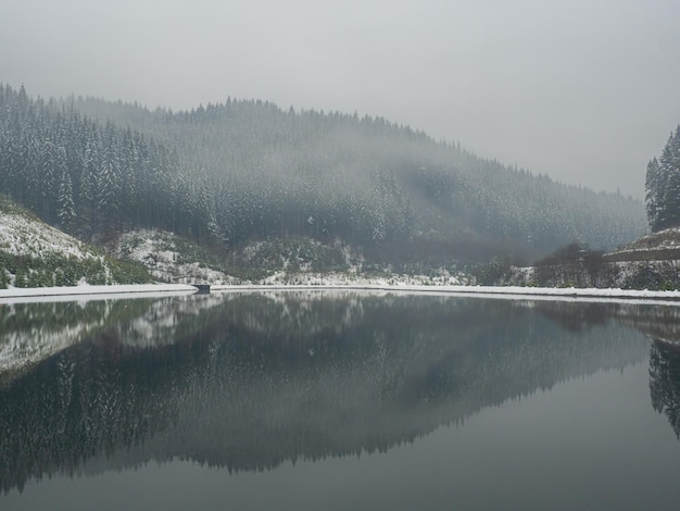 Winter lake and forest in the Carpathians