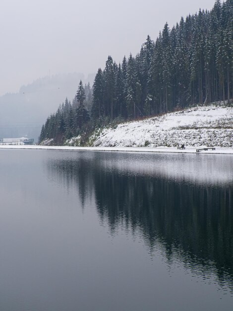 Winter lake and forest in the Carpathians