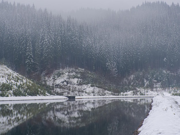 Winter lake and forest in the Carpathians