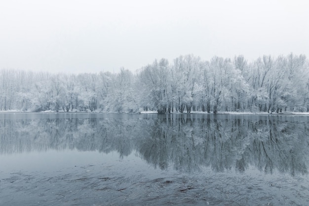 Winter lake scene reflecting