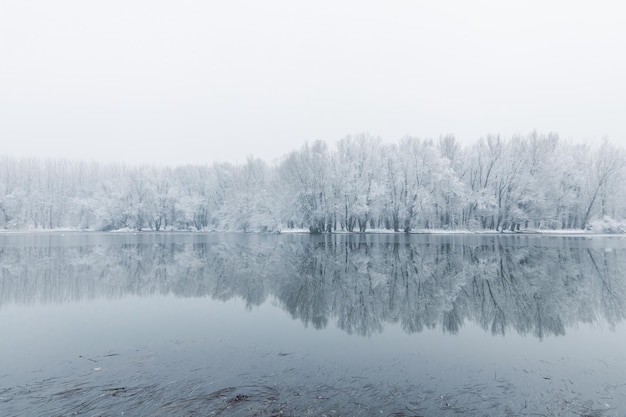 反射する冬の湖のシーン