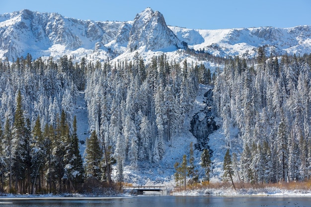 Winter lake