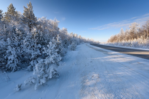 Winter landelijke weg in Siberië de bomen langs de weg zijn bedekt met sneeuw