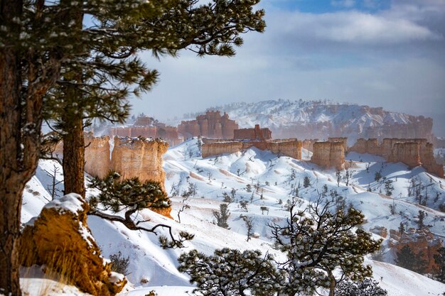 winter landscape of bryce canyon national park freezing cold red rocks covered with snow, usa winter