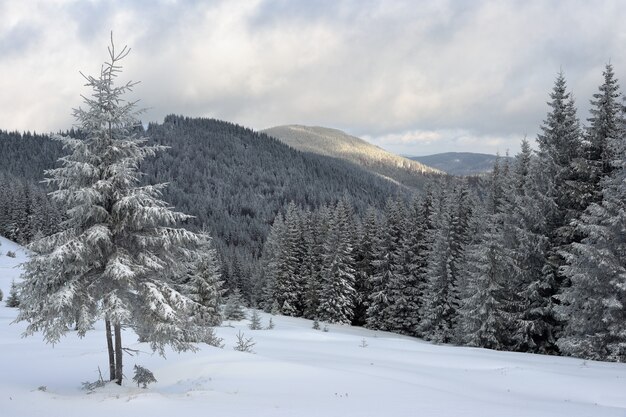 Paesaggio invernale nelle montagne dei carpazi