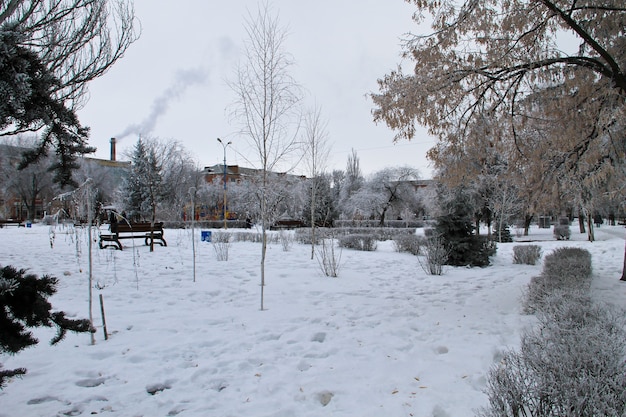 Зимний пейзаж в городском парке