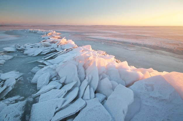 Winter landscape. Composition of nature.