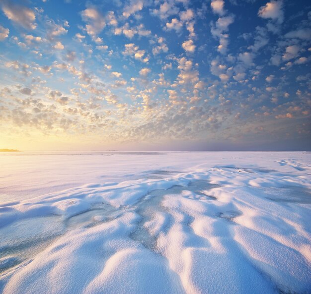 写真 冬の風景。自然の構成。