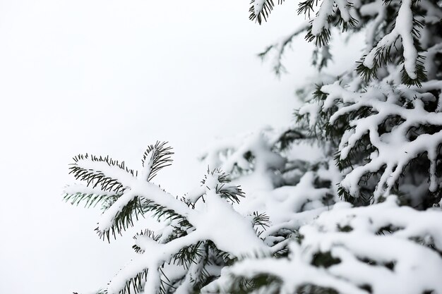 Winter landscape of country fields and roads in the snow