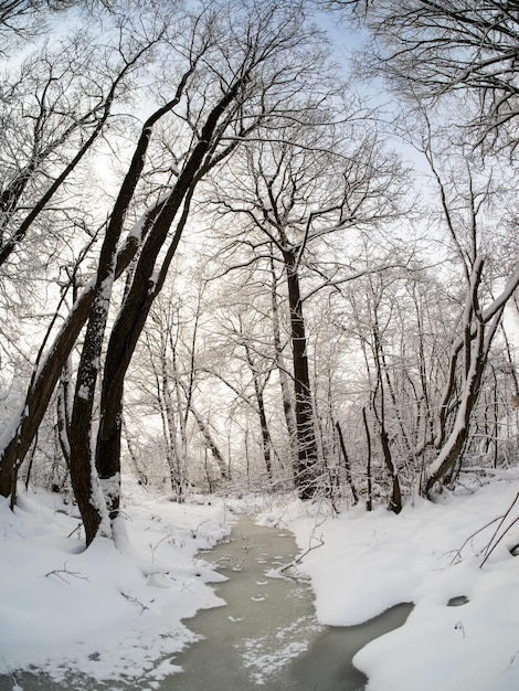 Winter landscape in the country on a sunny day