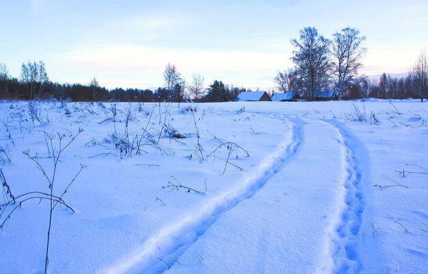 Winter landscape in the countryside Latvia East Europe