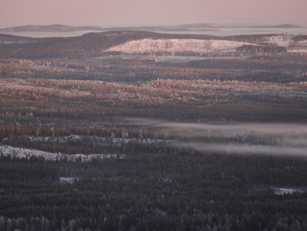 Photo winter landscape at dawn