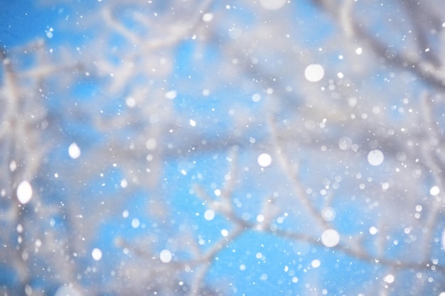 冬の風景。おとぎ話のような美しさの雪に覆われた通り。観光地の降雪と冷却。