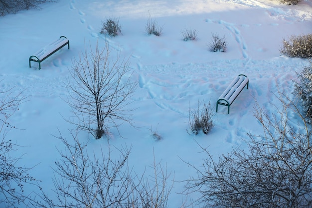 冬の風景雪に覆われた通りのおとぎ話の美しさ観光地の降雪と冷却