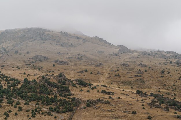 冬の風景、霧と暗い雲、山の頂上への道、緑の植物と暗い神秘的な雰囲気。スペイン。