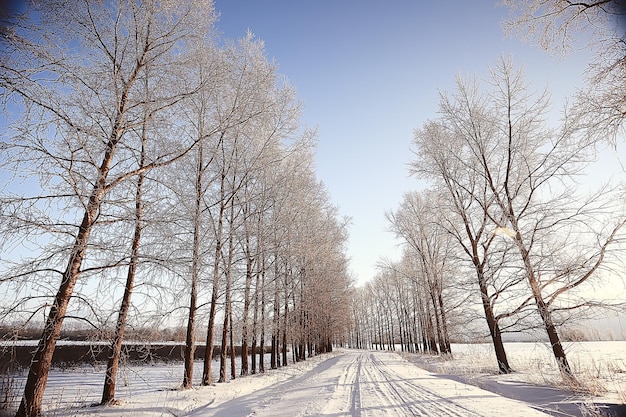 森の冬の風景/ 1月の雪の天気、雪の森の美しい風景、北への旅