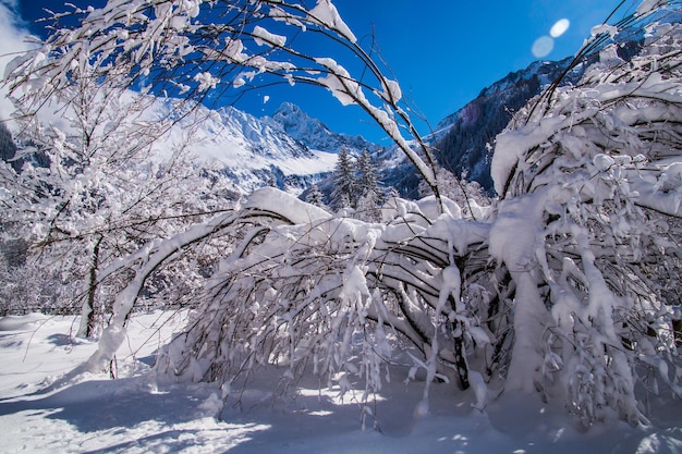 Зимний пейзаж во французских Альпах