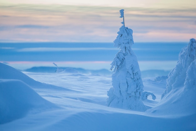 Фото Зимний пейзаж с горы родней холодное туманное утро с сильным снегом