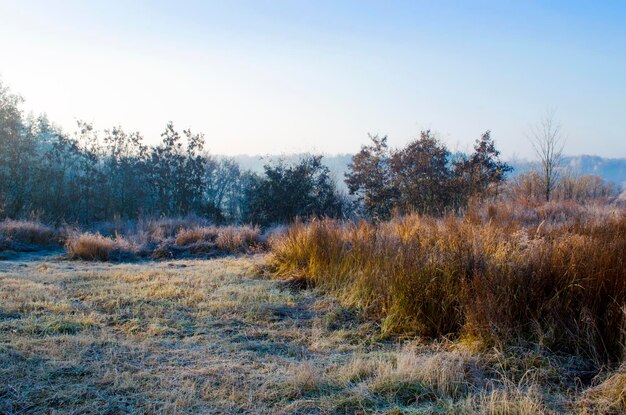 Foto paesaggio invernale gelo sull'erba di un prato in campagna sole mattutino e nebbia