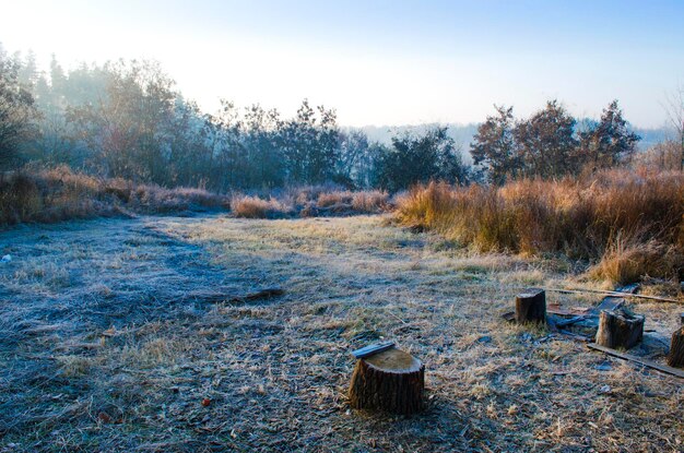 写真 冬景色 田舎の草原の芝生の霜 朝の太陽と霧