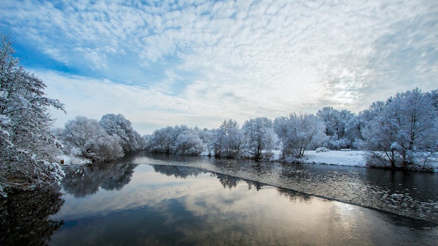 겨울 풍경 젖빛 나무 강 폭포 햇빛