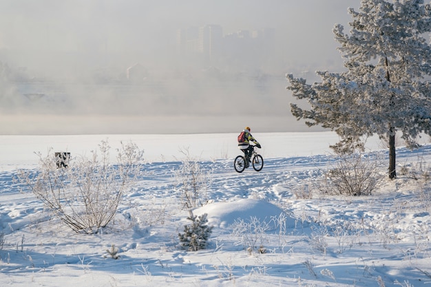 Зимний пейзаж морозных деревьев, белый снег в городском парке.