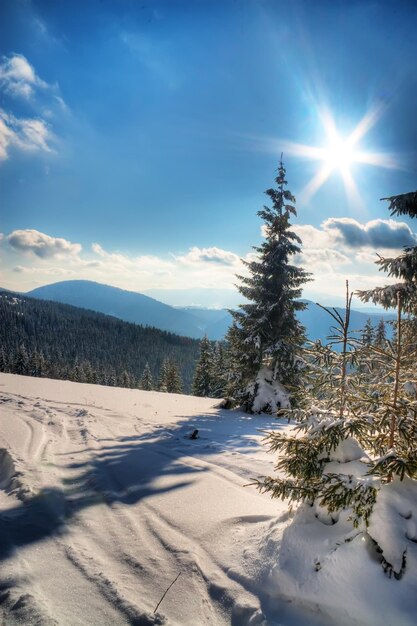 Winter landscape HDR