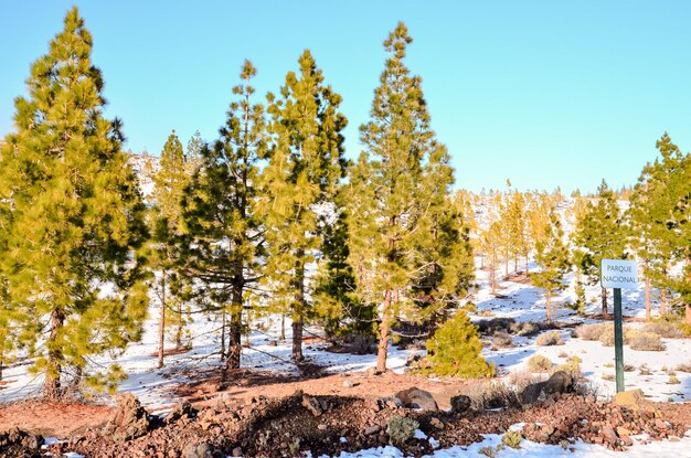 Winter Landscape on the High Mountain Range