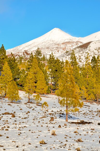 Photo winter landscape on the high mountain range