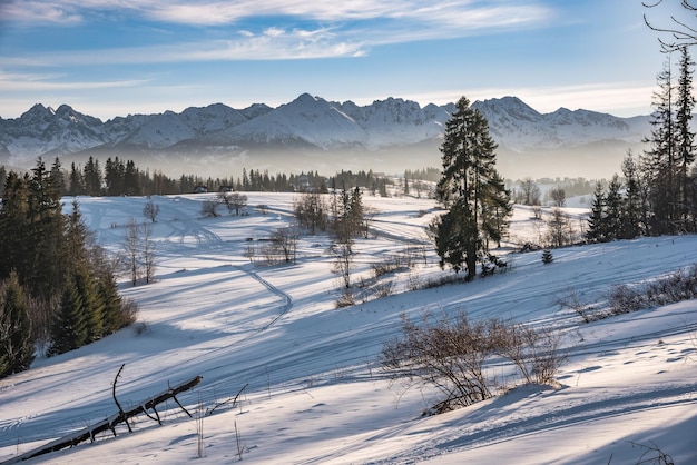 Winter landscape of High Tatra Mountains